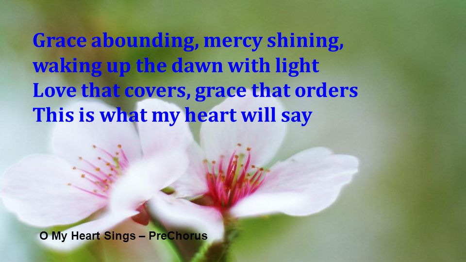 O My Heart Sings – PreChorus Grace abounding, mercy shining, waking up the dawn with light Love that covers, grace that orders This is what my heart will say