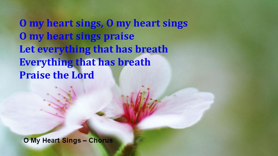 O My Heart Sings – Chorus O my heart sings, O my heart sings O my heart sings praise Let everything that has breath Everything that has breath Praise the Lord