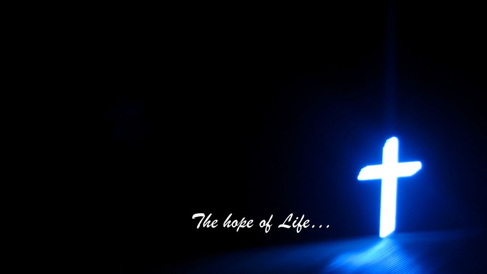 The hope of Life…