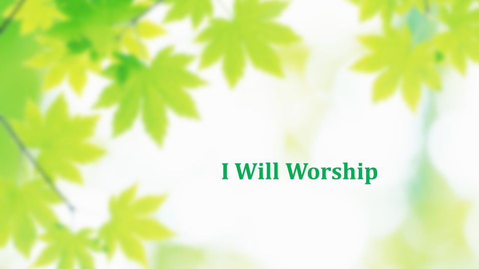 I Will Worship
