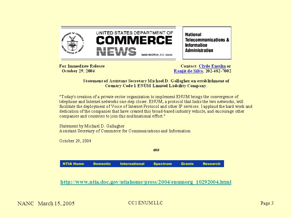 NANC March 15, 2005 CC1 ENUM LLC Page 3