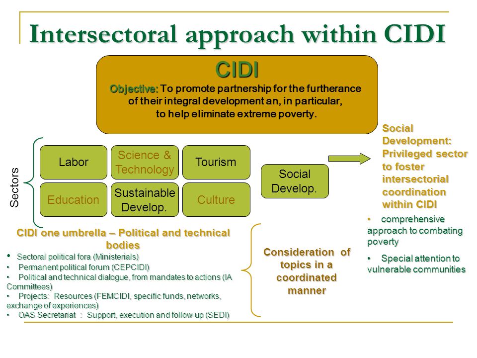 Intersectoral approach within CIDI CIDI Objective: Objective: To promote partnership for the furtherance of their integral development an, in particular, to help eliminate extreme poverty.