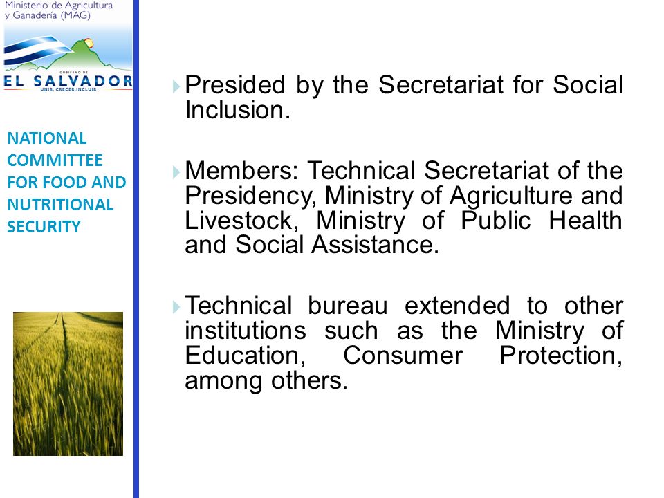 Presided by the Secretariat for Social Inclusion.