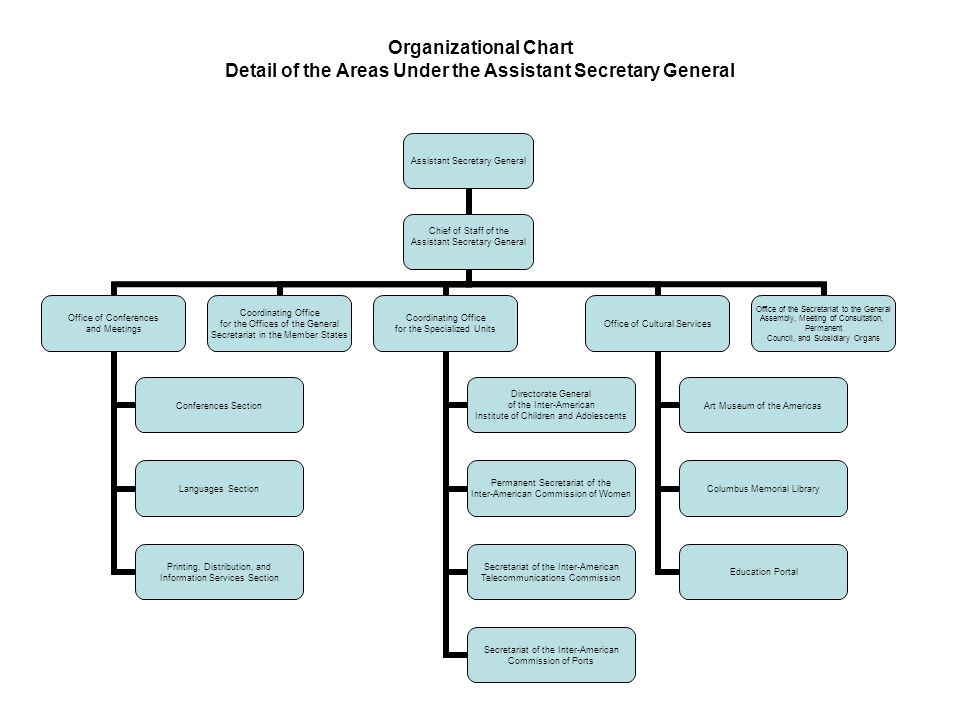 Museum Organizational Chart