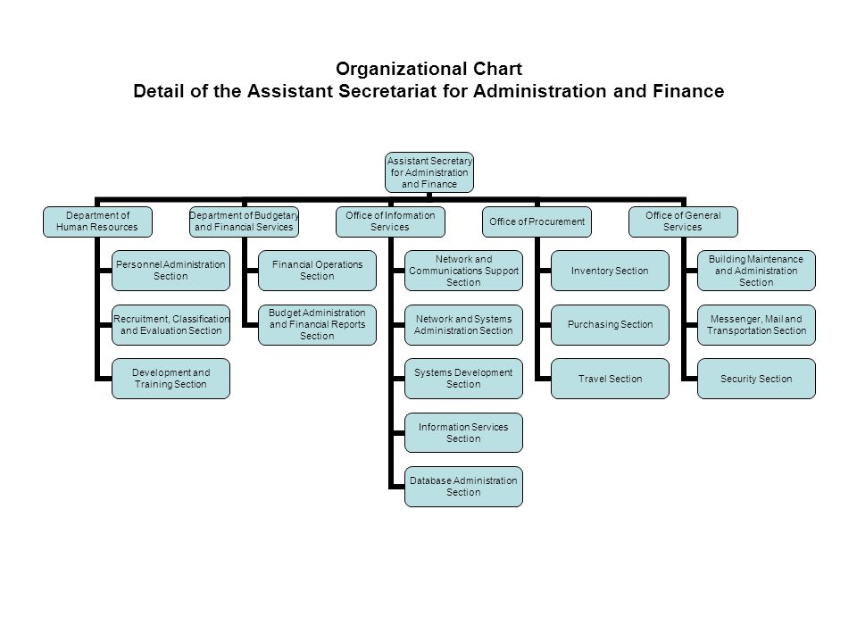 Caap Organizational Chart