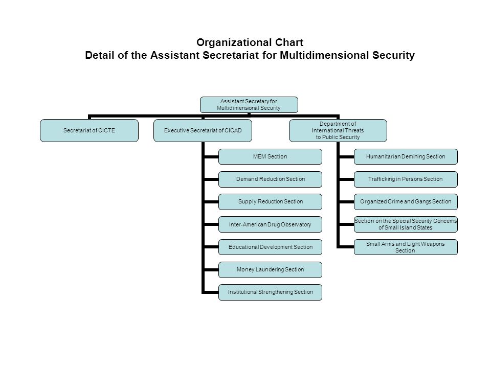 Caap Organizational Chart
