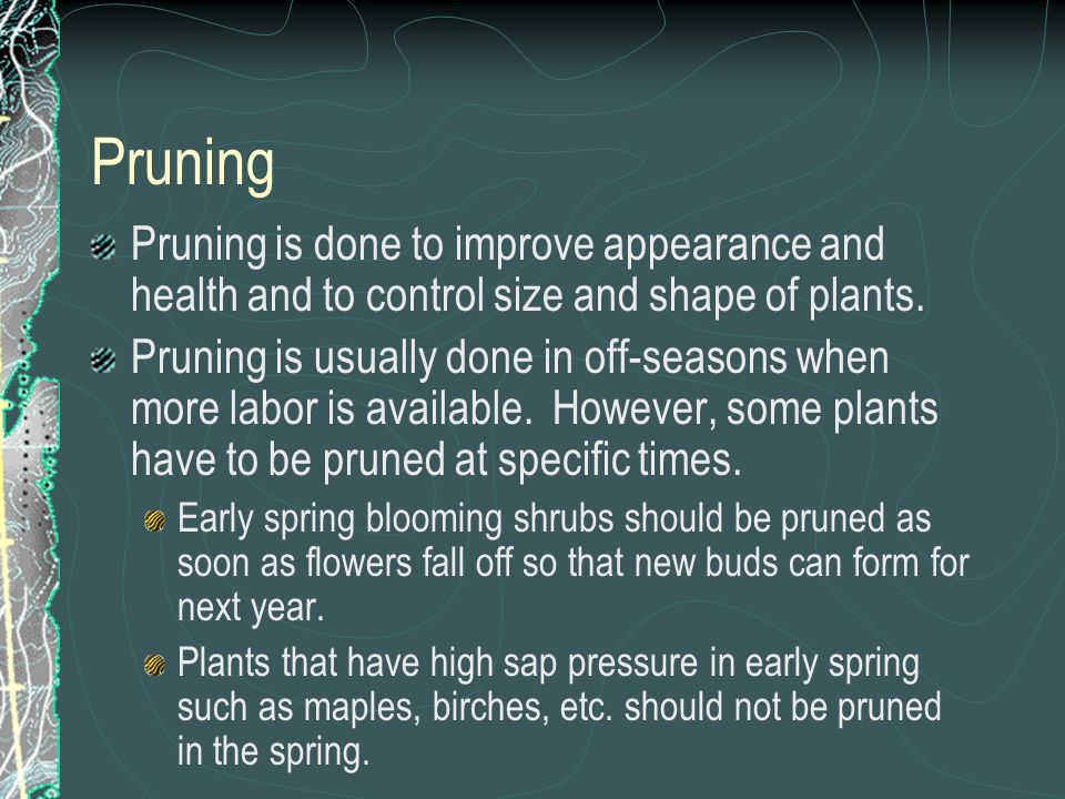 Pruning is done to improve appearance and health and to control size and shape of plants.
