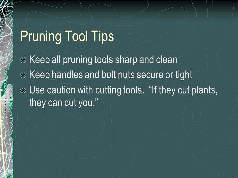 Pruning Tool Tips Keep all pruning tools sharp and clean Keep handles and bolt nuts secure or tight Use caution with cutting tools.