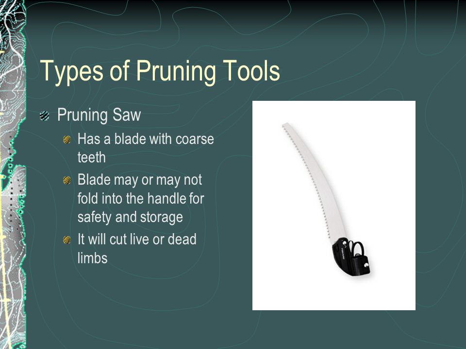 Types of Pruning Tools Pruning Saw Has a blade with coarse teeth Blade may or may not fold into the handle for safety and storage It will cut live or dead limbs