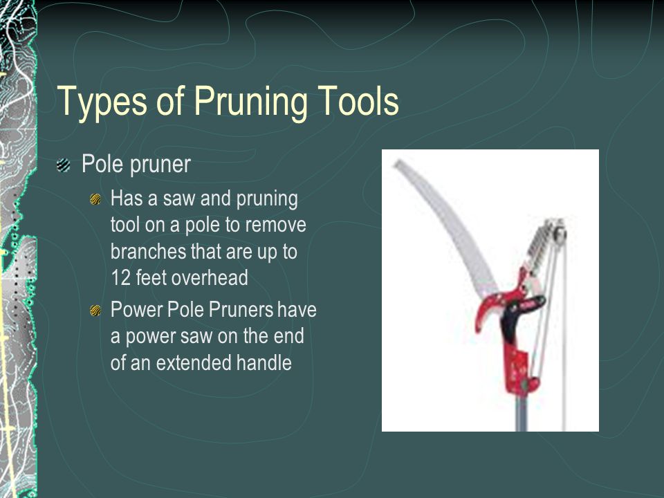 Types of Pruning Tools Pole pruner Has a saw and pruning tool on a pole to remove branches that are up to 12 feet overhead Power Pole Pruners have a power saw on the end of an extended handle