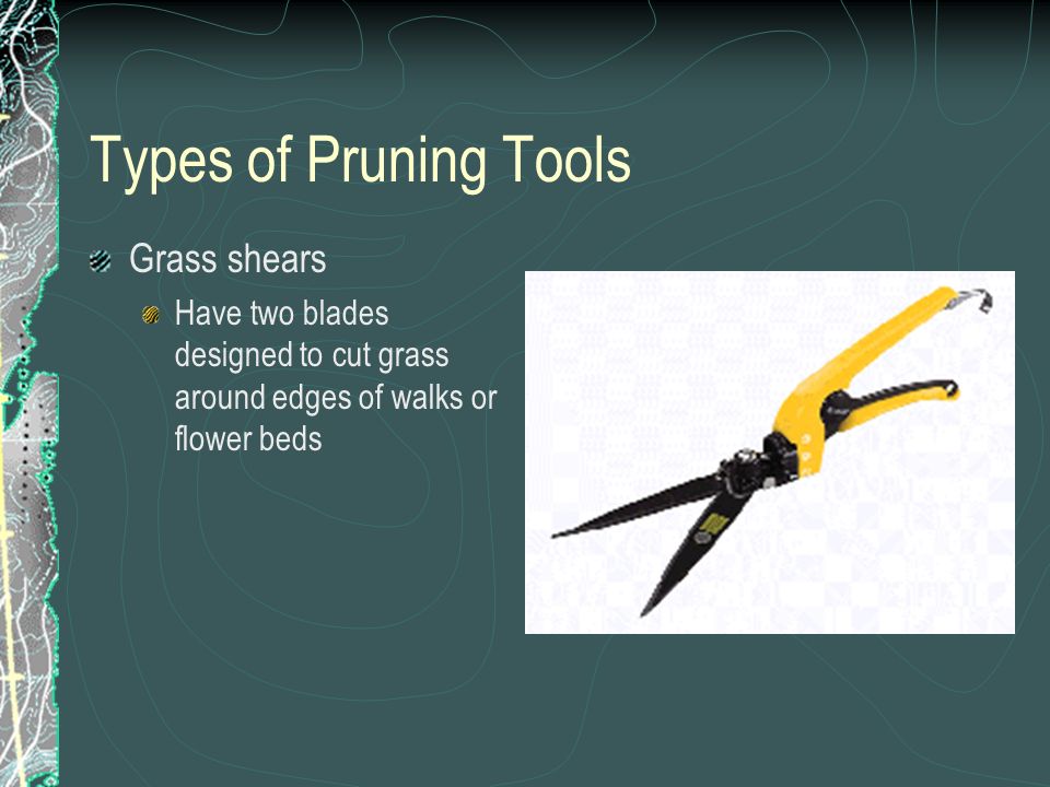 Types of Pruning Tools Grass shears Have two blades designed to cut grass around edges of walks or flower beds