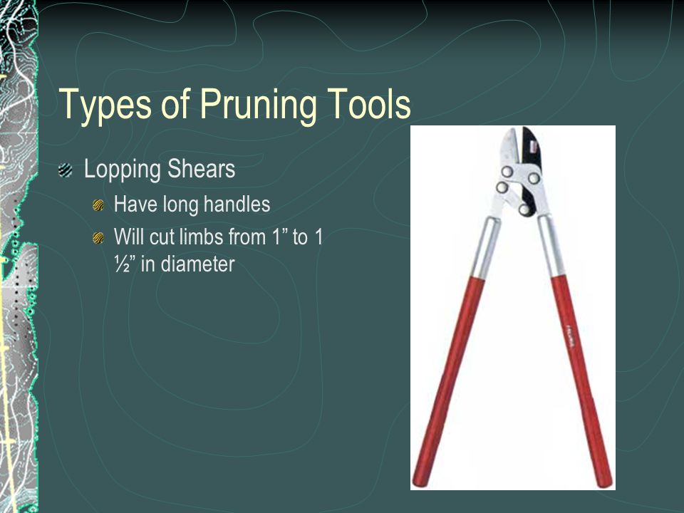 Types of Pruning Tools Lopping Shears Have long handles Will cut limbs from 1 to 1 ½ in diameter