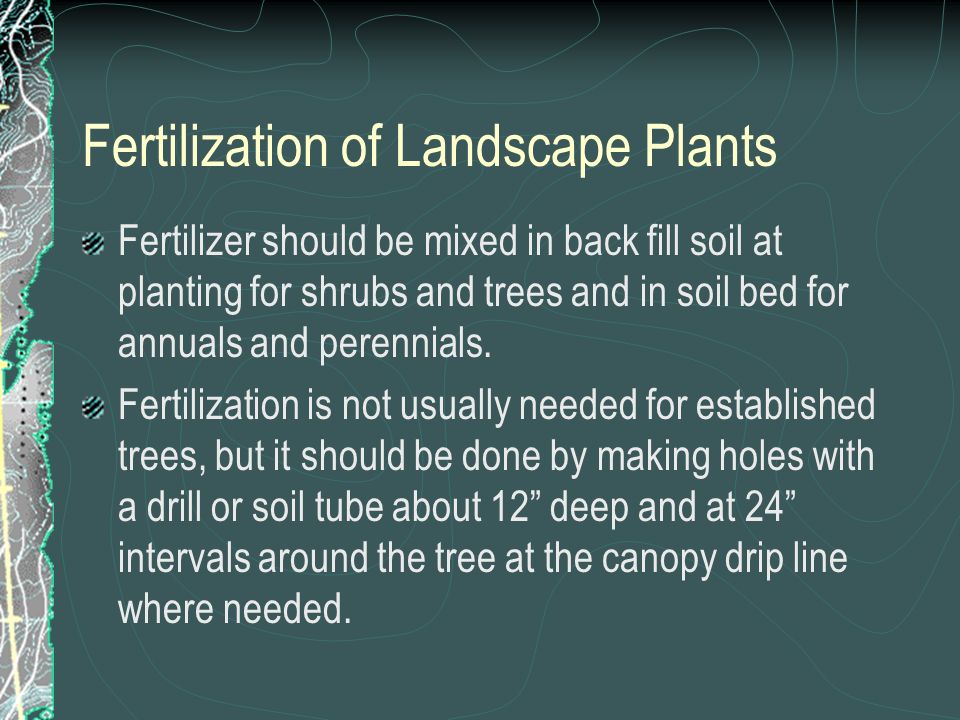 Fertilization of Landscape Plants Fertilizer should be mixed in back fill soil at planting for shrubs and trees and in soil bed for annuals and perennials.