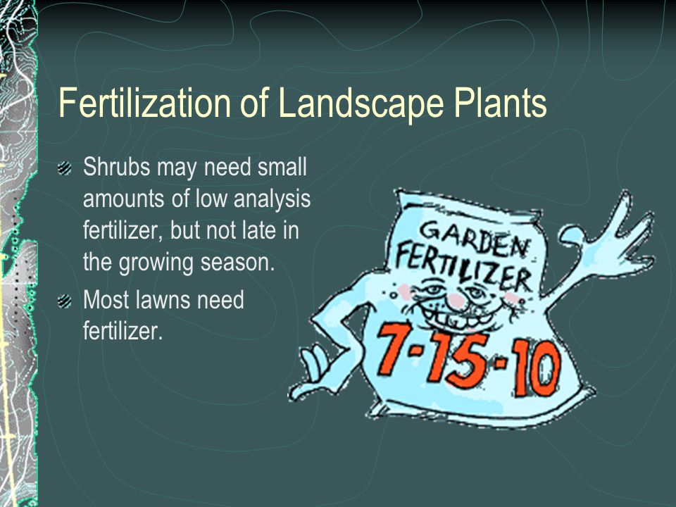 Fertilization of Landscape Plants Shrubs may need small amounts of low analysis fertilizer, but not late in the growing season.