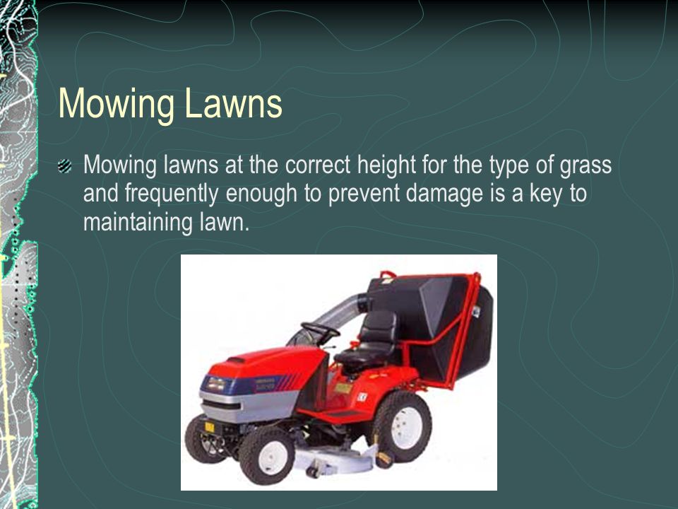 Mowing Lawns Mowing lawns at the correct height for the type of grass and frequently enough to prevent damage is a key to maintaining lawn.