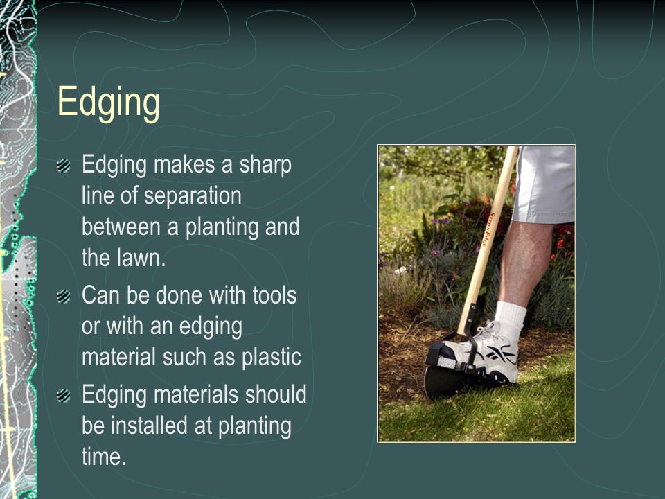 Edging Edging makes a sharp line of separation between a planting and the lawn.