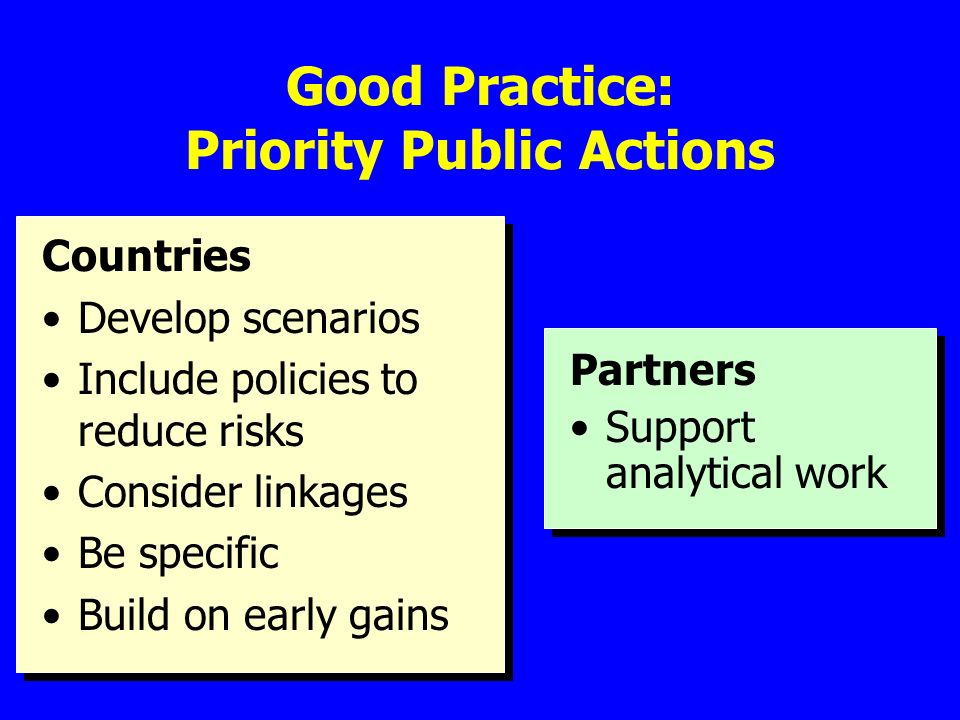 Good Practice: Priority Public Actions Countries Develop scenarios Include policies to reduce risks Consider linkages Be specific Build on early gains Partners Support analytical work