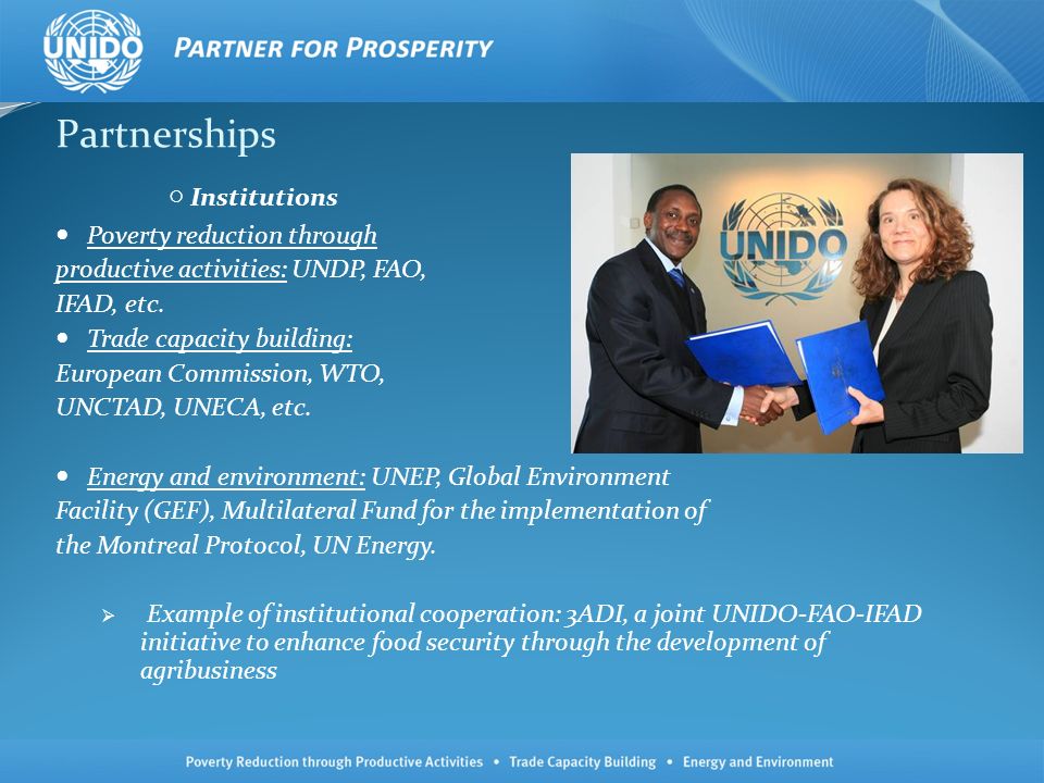 Partnerships Institutions Poverty reduction through productive activities: UNDP, FAO, IFAD, etc.