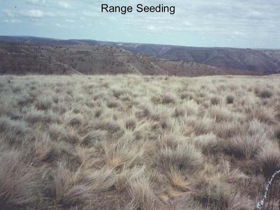 Range Seeding