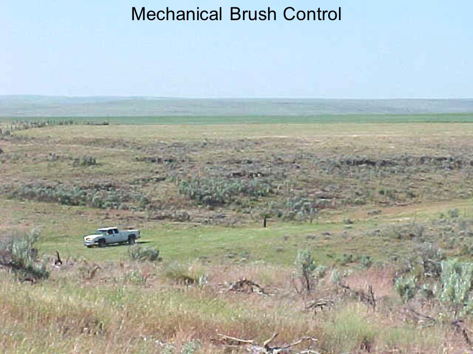 Mechanical Brush Control