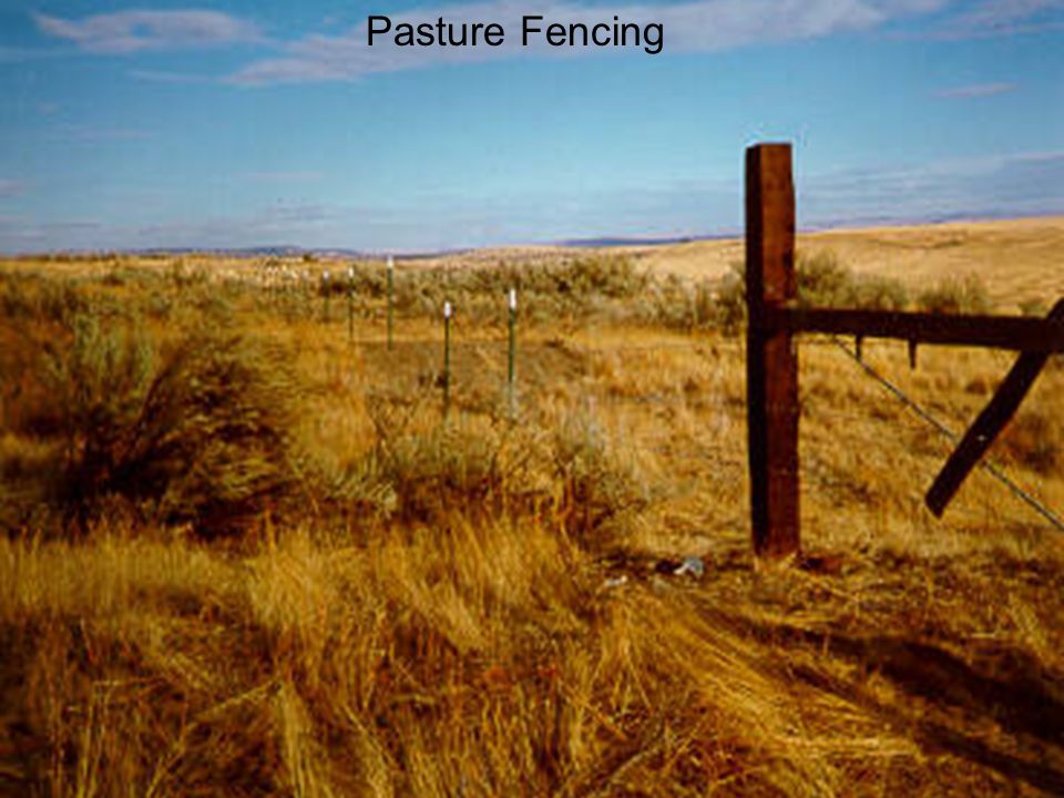 Pasture Fencing