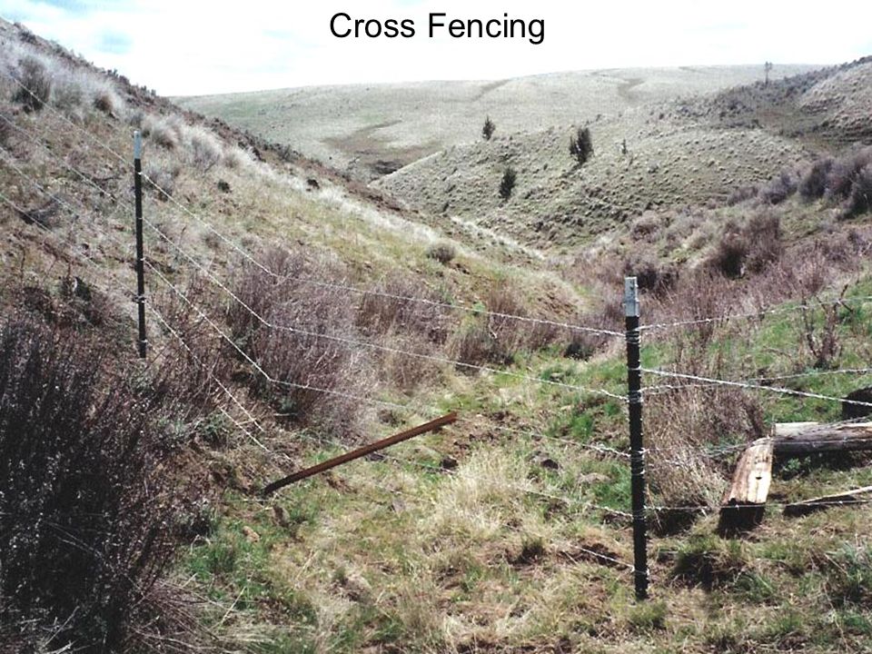 Cross Fencing