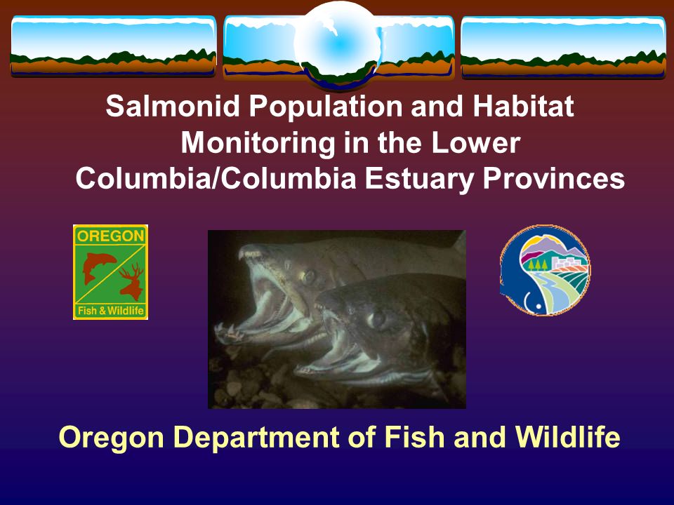 Salmonid Population and Habitat Monitoring in the Lower Columbia/Columbia Estuary Provinces Oregon Department of Fish and Wildlife