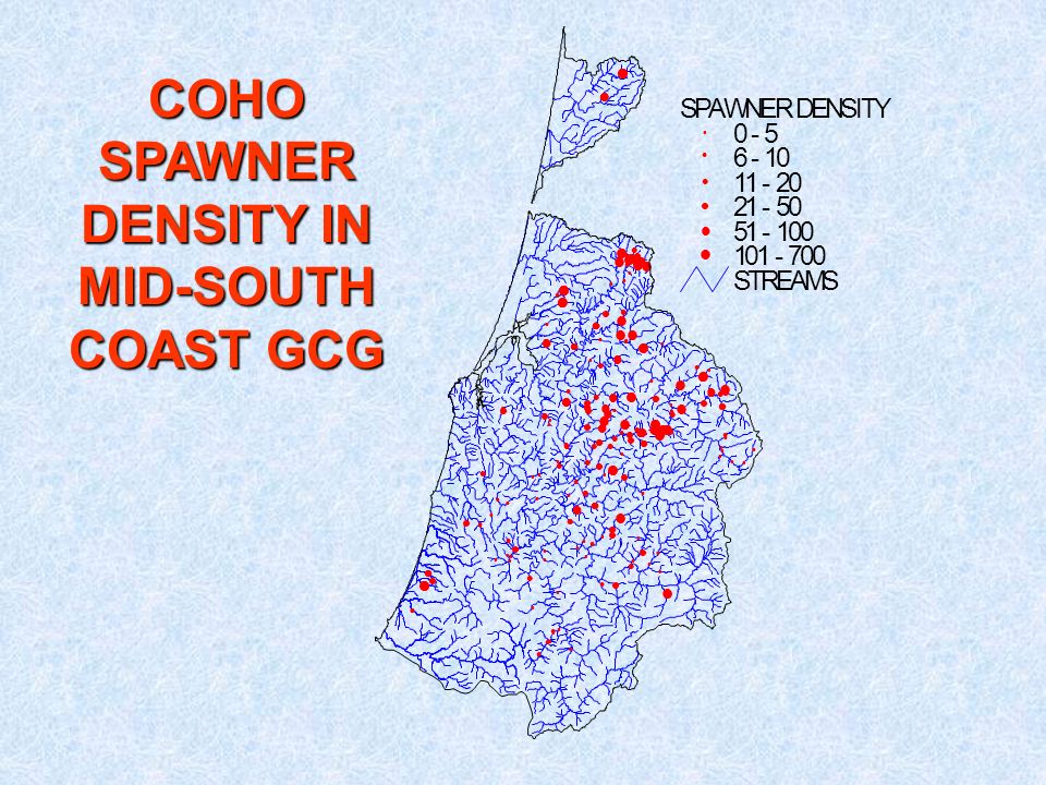 STREAMS SPAWNER DENSITY COHO SPAWNER DENSITY IN MID-SOUTH COAST GCG
