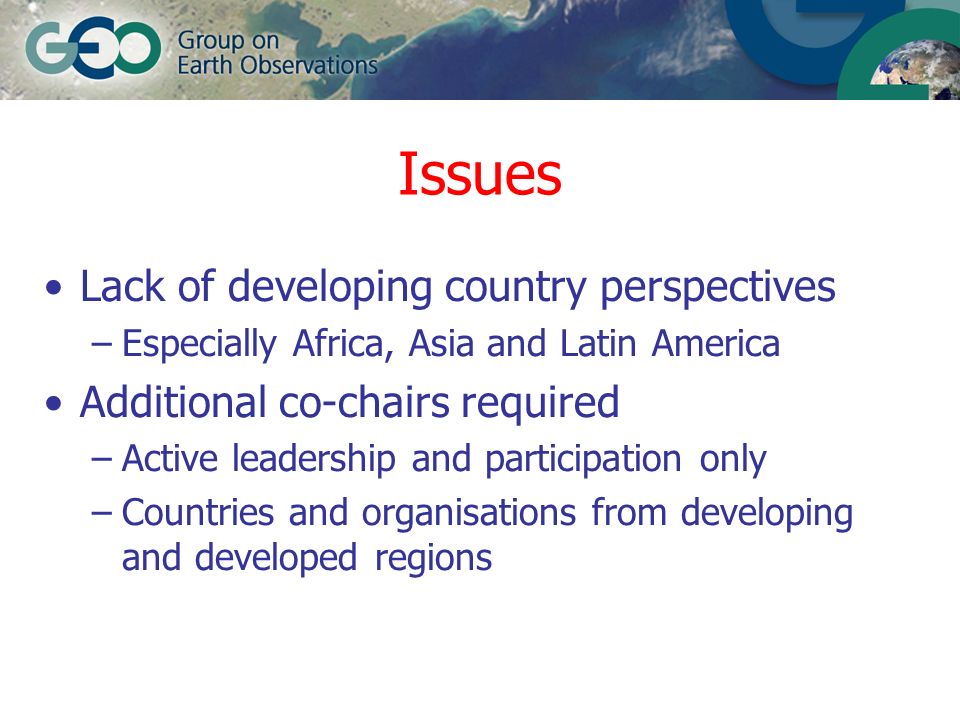 Issues Lack of developing country perspectives –Especially Africa, Asia and Latin America Additional co-chairs required –Active leadership and participation only –Countries and organisations from developing and developed regions