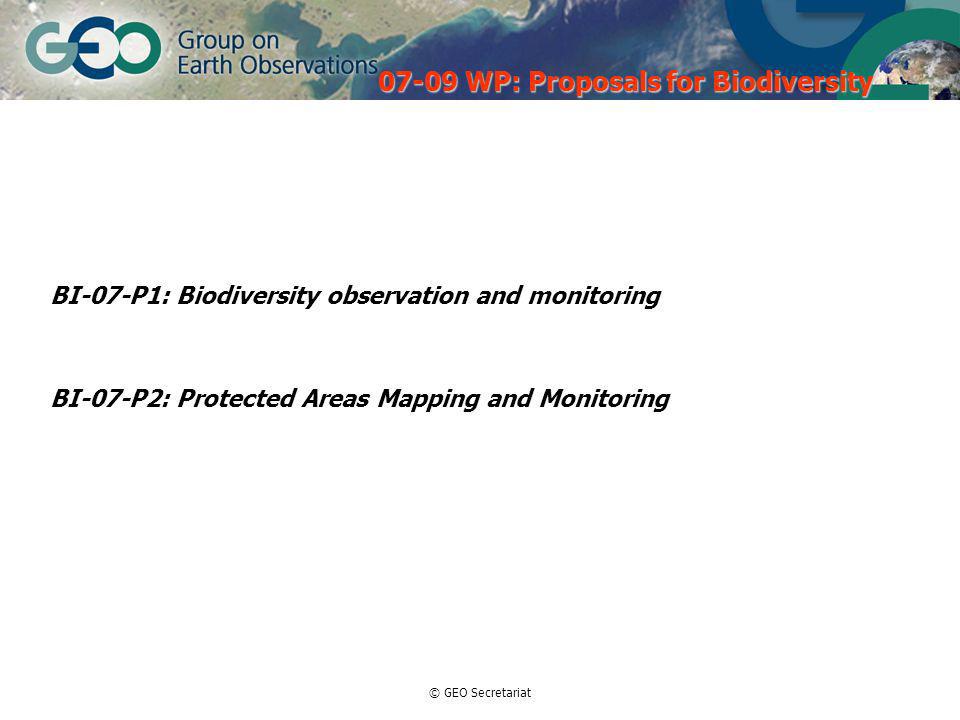 © GEO Secretariat BI-07-P1: Biodiversity observation and monitoring BI-07-P2: Protected Areas Mapping and Monitoring WP: Proposals for Biodiversity