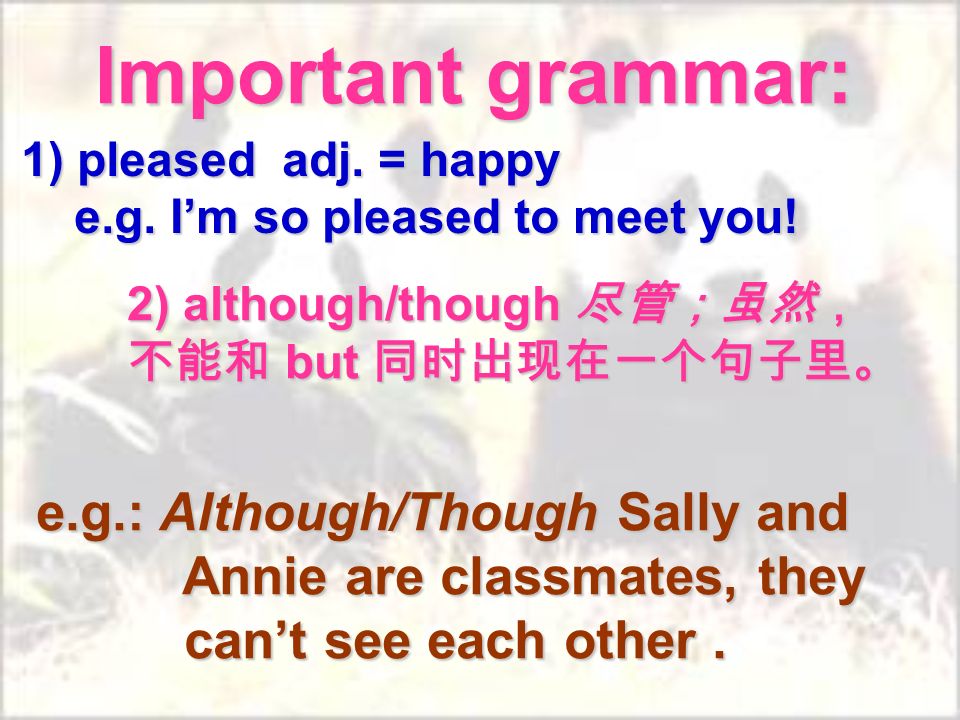 Important grammar: 1) pleased adj. = happy e.g. Im so pleased to meet you.