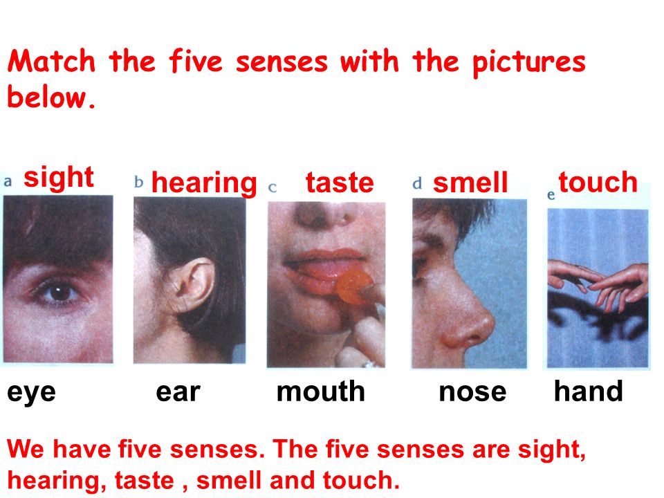 Match the five senses with the pictures below. We have five senses.