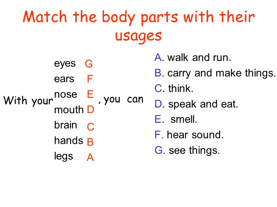 Match the body parts with their usages eyes ears nose mouth brain hands legs A.