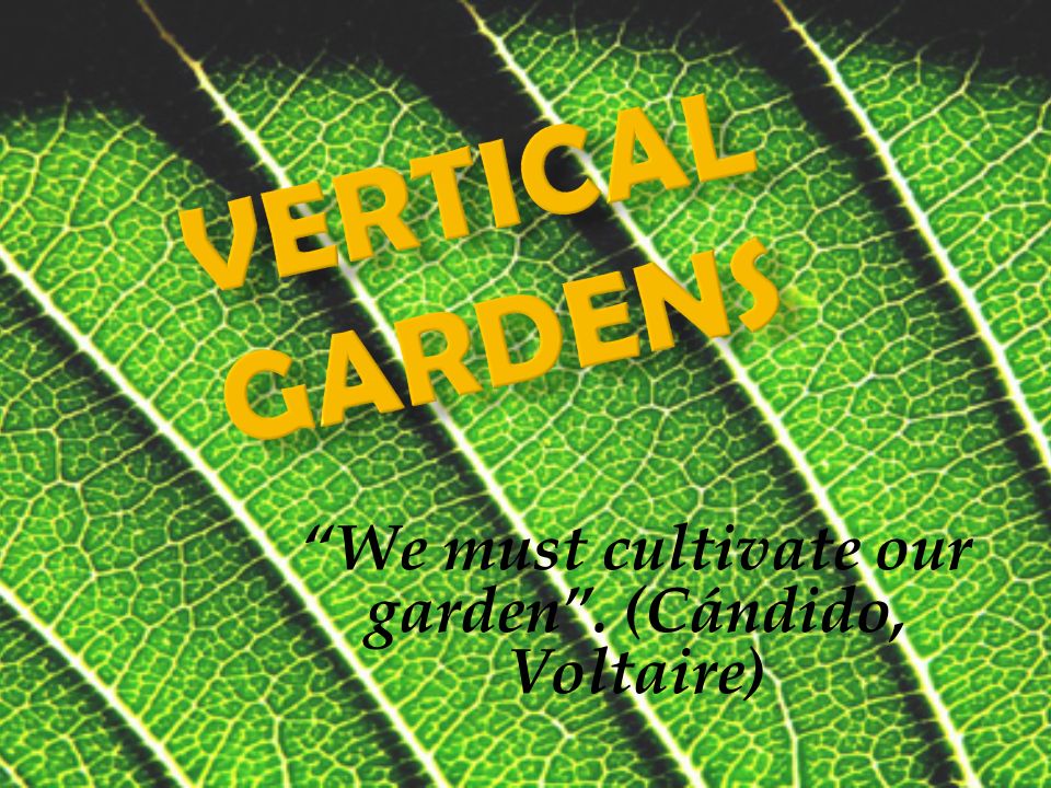 We Must Cultivate Our Garden Candido Voltaire Ppt Download