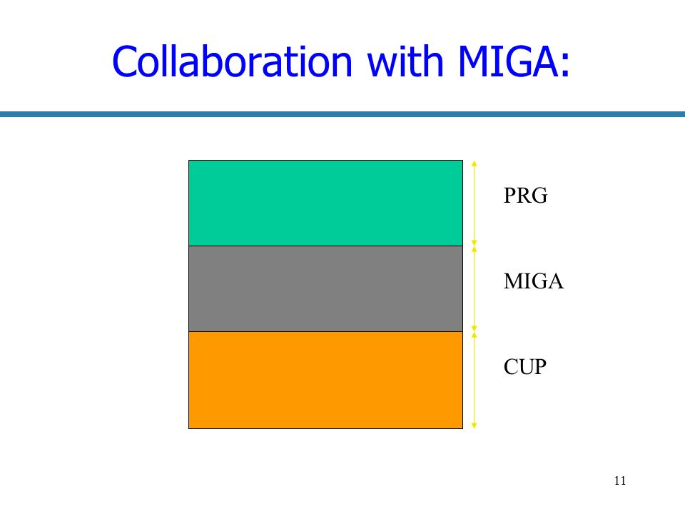 11 Collaboration with MIGA: PRG MIGA CUP