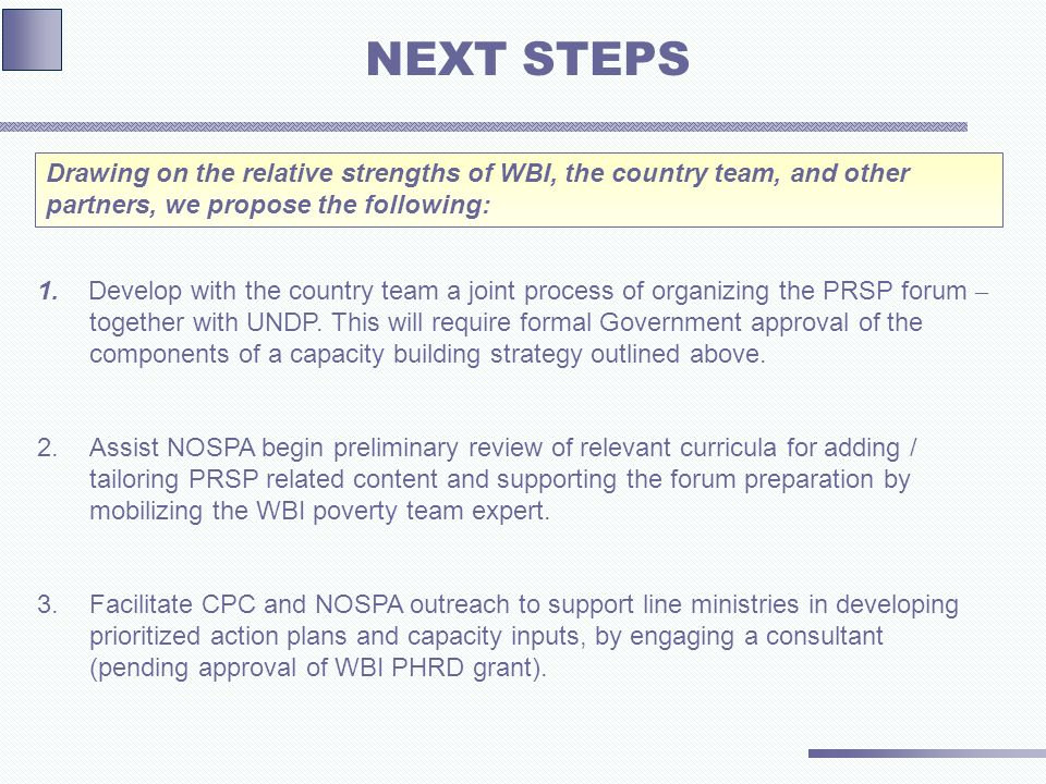 1. Develop with the country team a joint process of organizing the PRSP forum – together with UNDP.