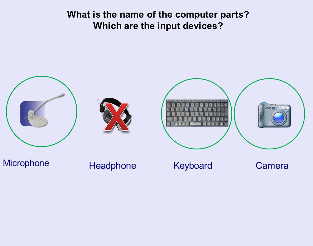 What is the name of the computer parts. Which are the input devices.