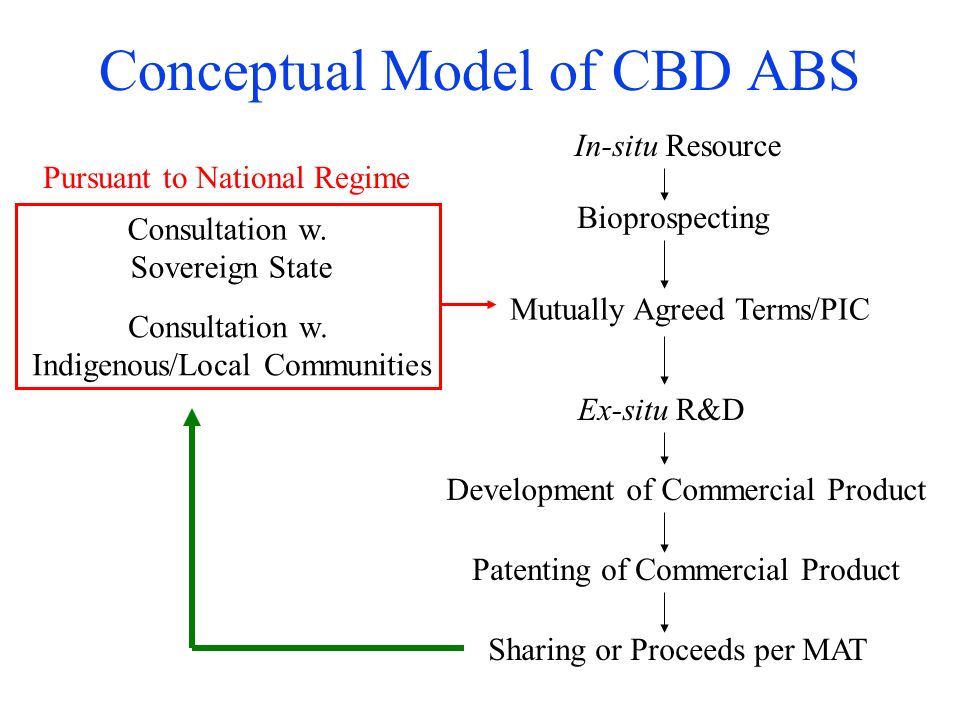 Conceptual Model of CBD ABS In-situ Resource Bioprospecting Consultation w.