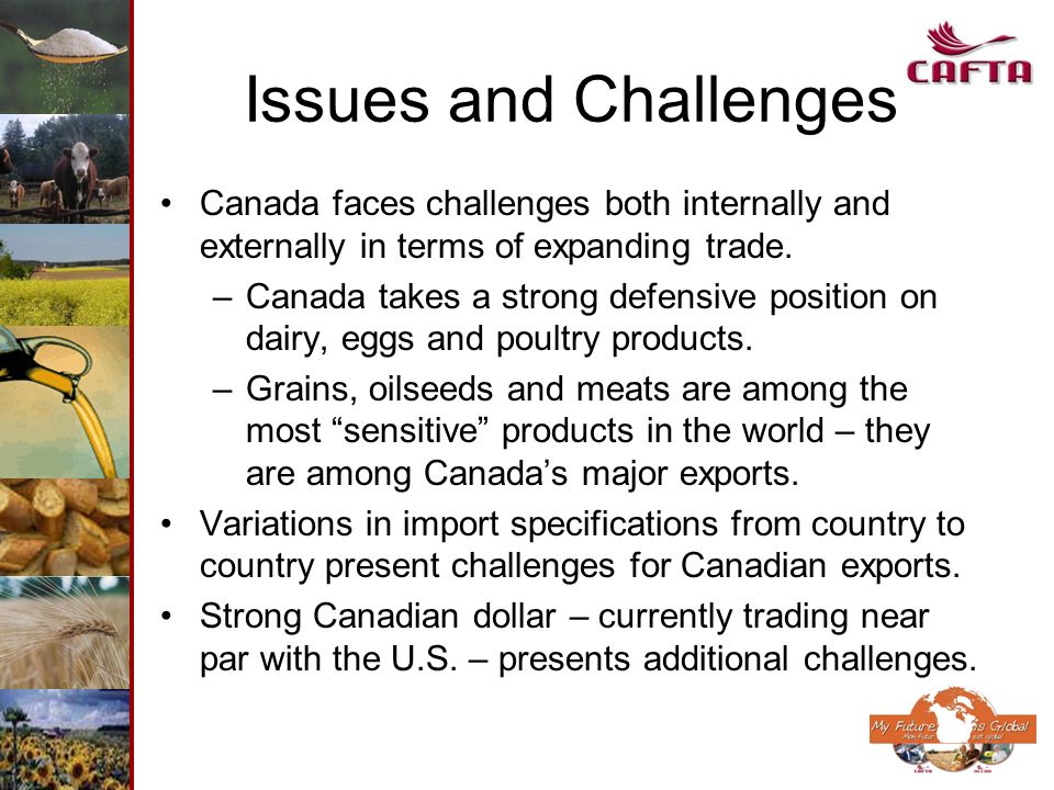 Issues and Challenges Canada faces challenges both internally and externally in terms of expanding trade.