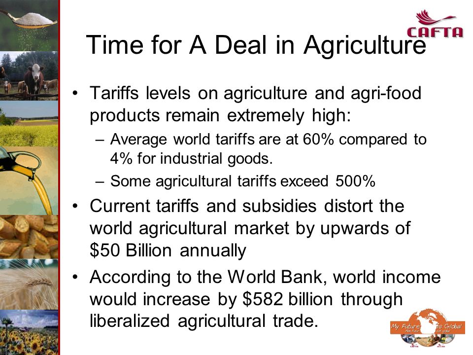 Time for A Deal in Agriculture Tariffs levels on agriculture and agri-food products remain extremely high: –Average world tariffs are at 60% compared to 4% for industrial goods.