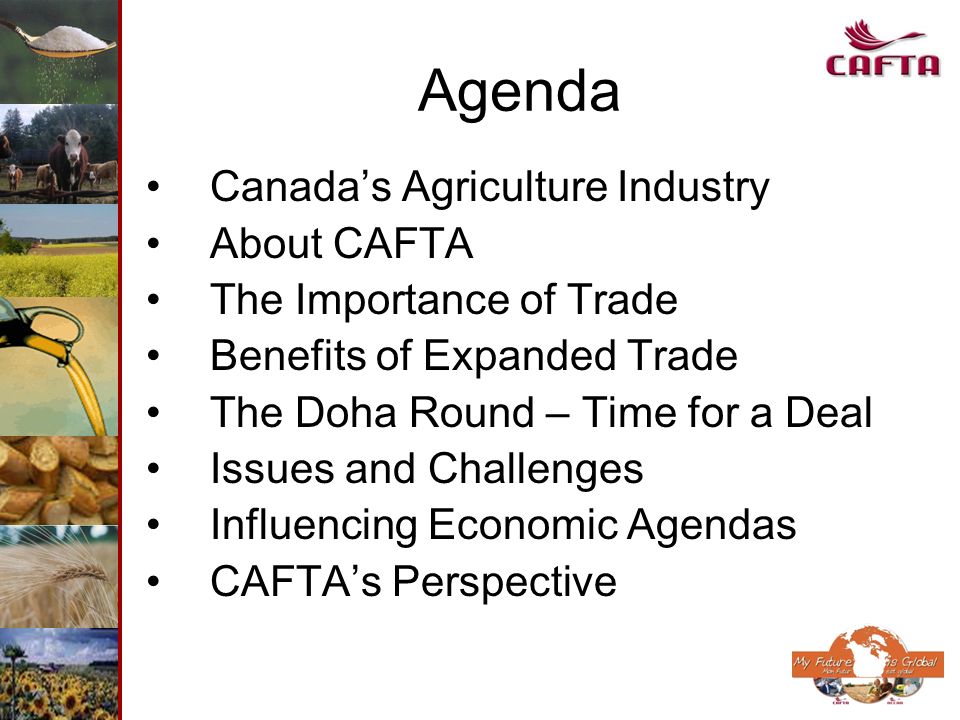Agenda Canadas Agriculture Industry About CAFTA The Importance of Trade Benefits of Expanded Trade The Doha Round – Time for a Deal Issues and Challenges Influencing Economic Agendas CAFTAs Perspective