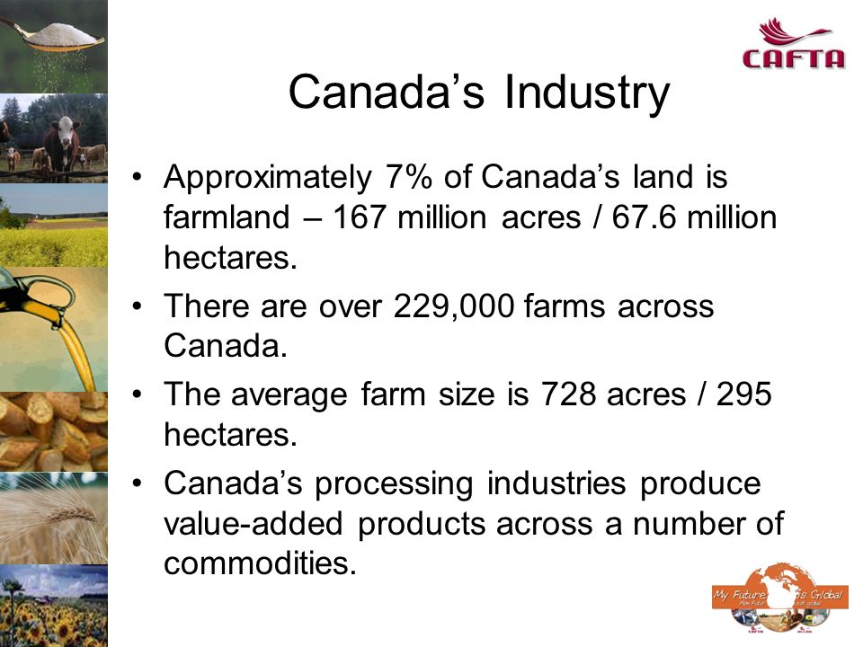 Canadas Industry Approximately 7% of Canadas land is farmland – 167 million acres / 67.6 million hectares.