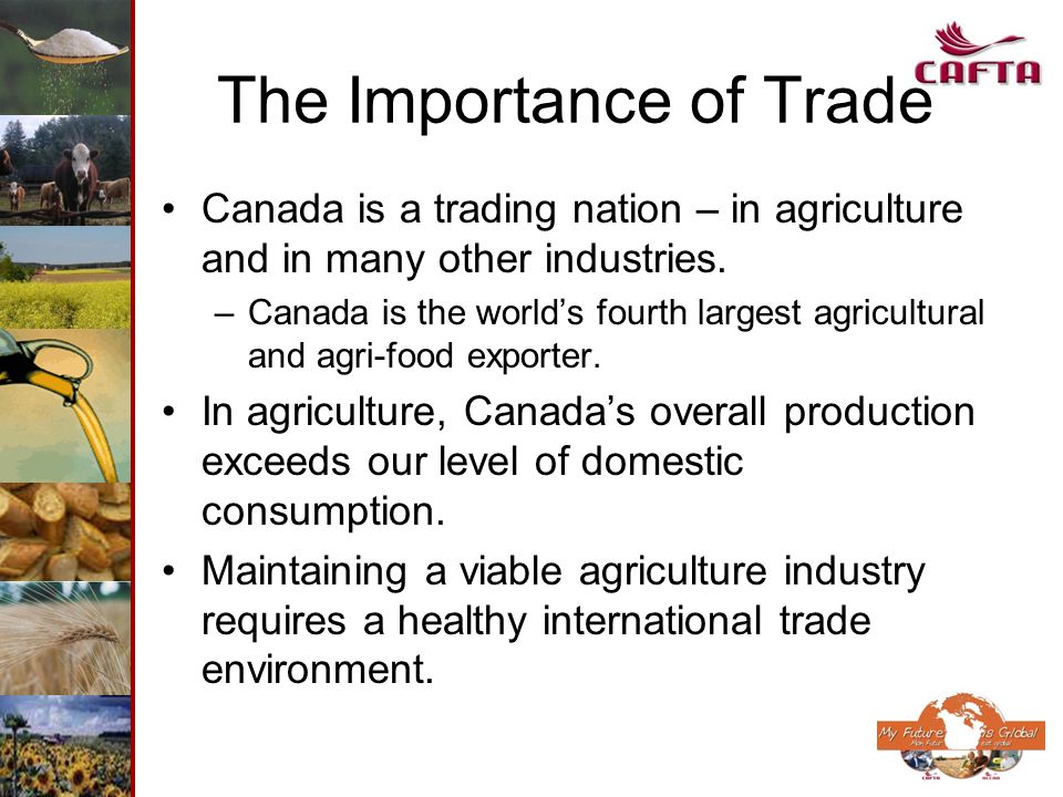 The Importance of Trade Canada is a trading nation – in agriculture and in many other industries.