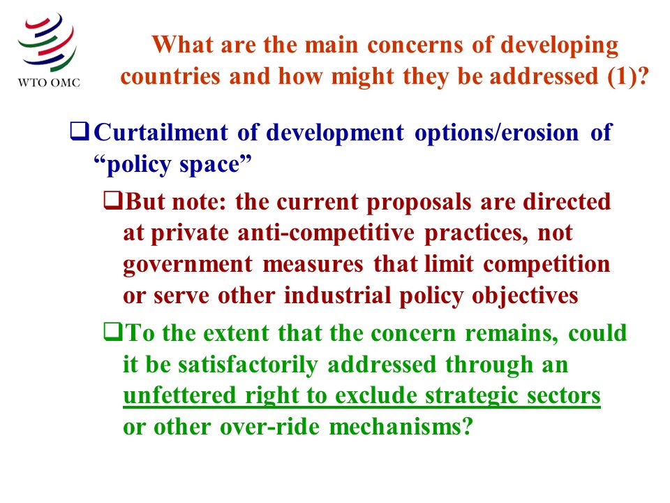 What are the main concerns of developing countries and how might they be addressed (1).