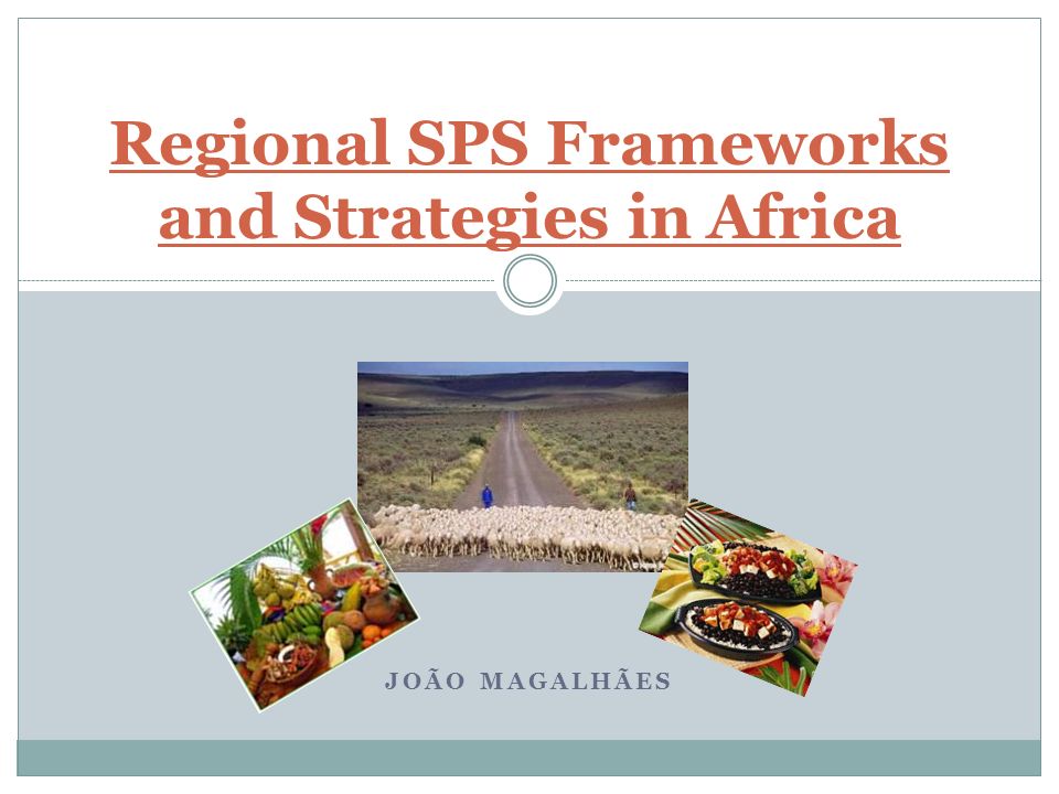 JOÃO MAGALHÃES Regional SPS Frameworks and Strategies in Africa