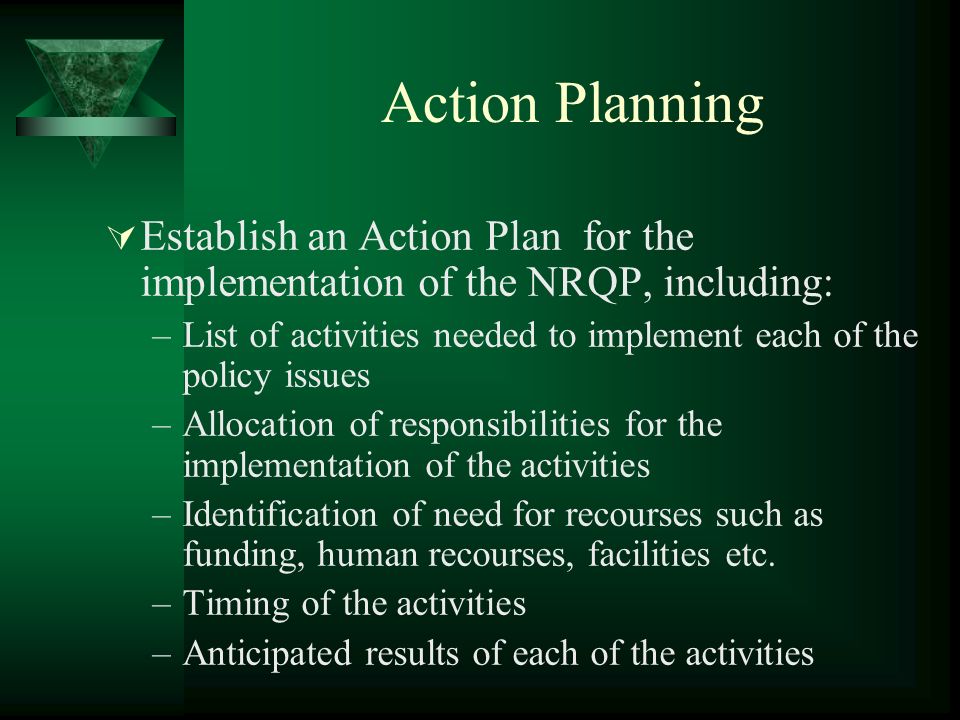 Action Planning Establish an Action Plan for the implementation of the NRQP, including: –List of activities needed to implement each of the policy issues –Allocation of responsibilities for the implementation of the activities –Identification of need for recourses such as funding, human recourses, facilities etc.