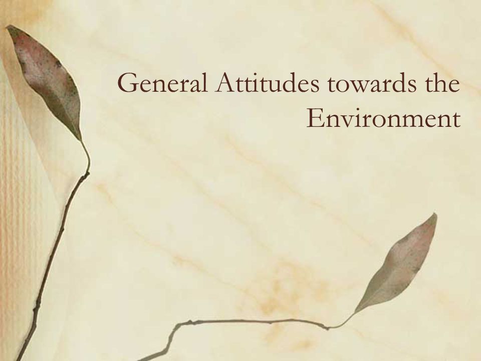 General Attitudes towards the Environment