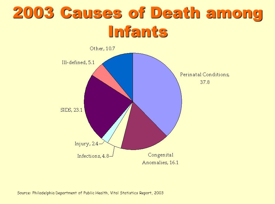 2003 Causes of Death among Infants Source: Philadelphia Department of Public Health, Vital Statistics Report, 2003
