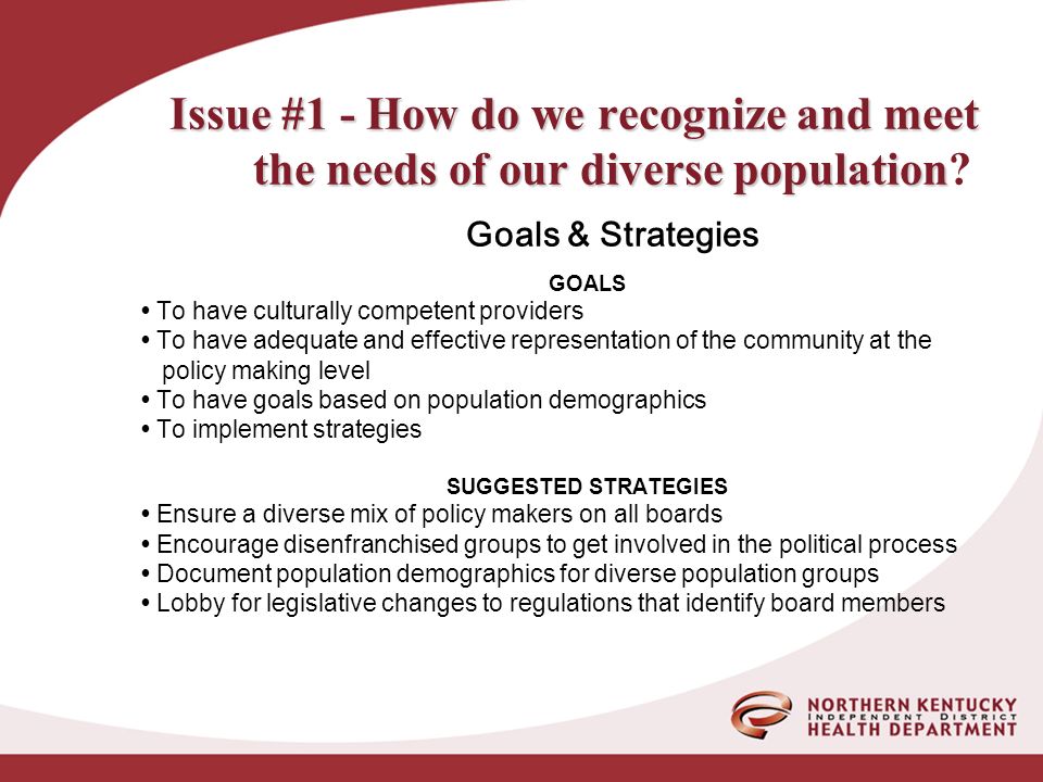 Issue #1 - How do we recognize and meet the needs of our diverse population Issue #1 - How do we recognize and meet the needs of our diverse population.