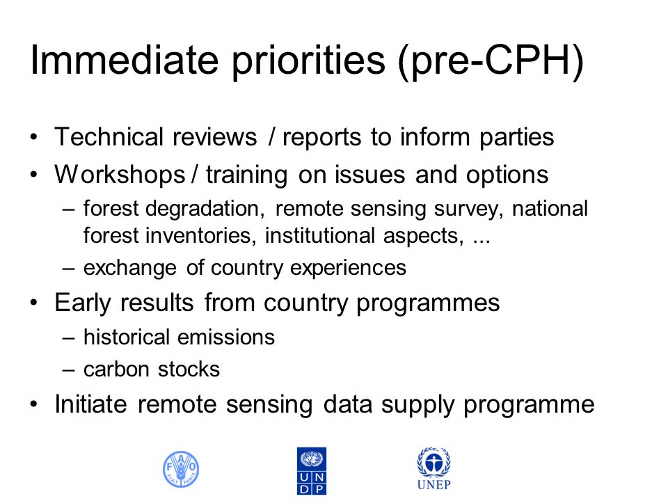 Immediate priorities (pre-CPH) Technical reviews / reports to inform parties Workshops / training on issues and options –forest degradation, remote sensing survey, national forest inventories, institutional aspects,...